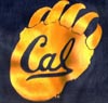 Cal Bear Paw Logo